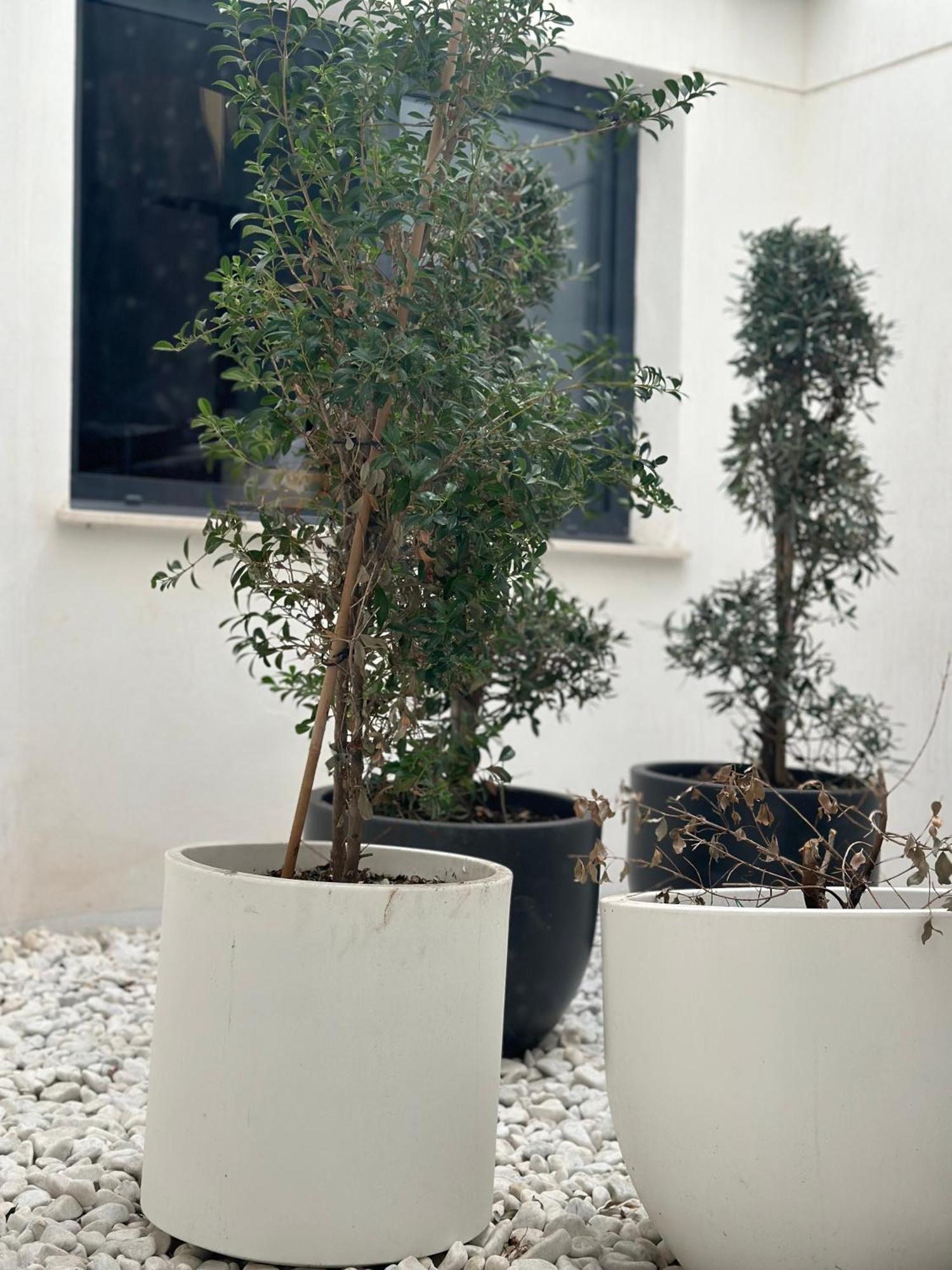 Hostel Alicante A-Cero Living Exteriér fotografie