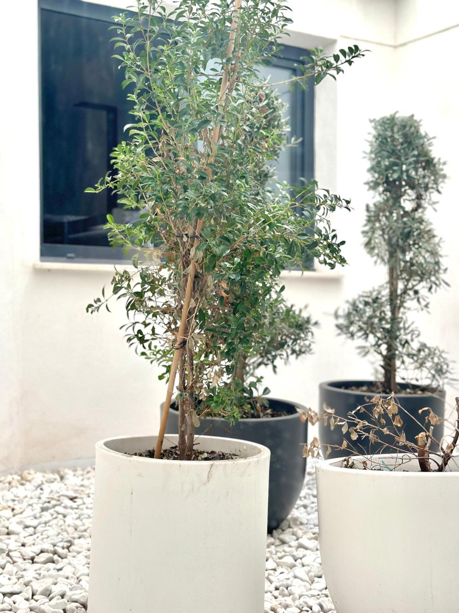 Hostel Alicante A-Cero Living Exteriér fotografie
